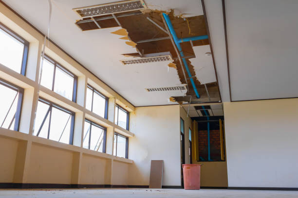 Best Professional water damage repair  in Platteville, CO