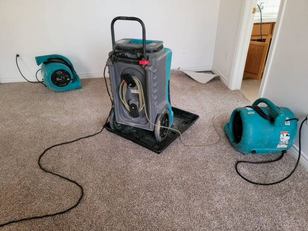 Best Fire Damage Restoration  in Platteville, CO