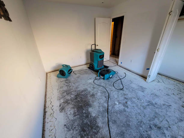 Best Mold removal after water damage  in Platteville, CO