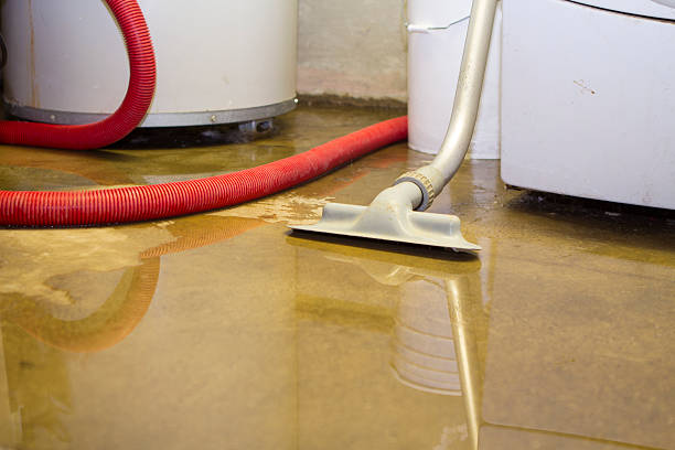 Best Water damage restoration near me  in Platteville, CO