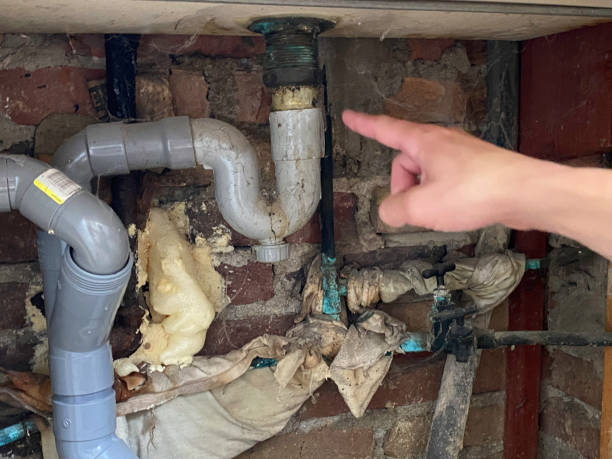 Best Water damage restoration near me  in Platteville, CO