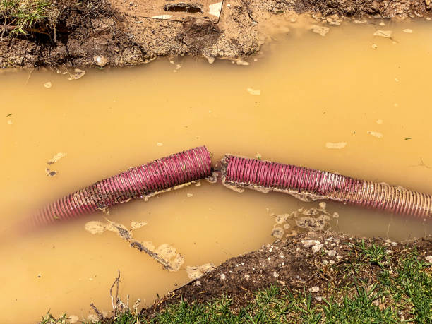 Best Flood damage cleanup  in Platteville, CO