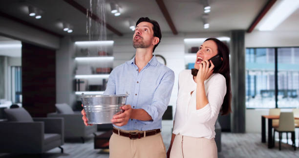 Best Water damage restoration company  in Platteville, CO